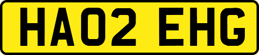HA02EHG