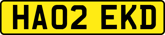 HA02EKD