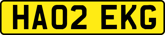 HA02EKG