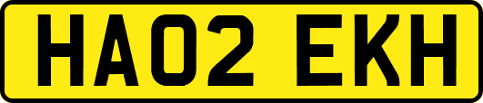 HA02EKH