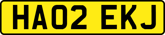 HA02EKJ