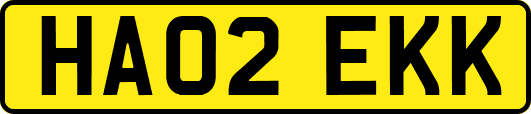 HA02EKK
