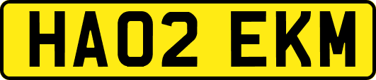 HA02EKM