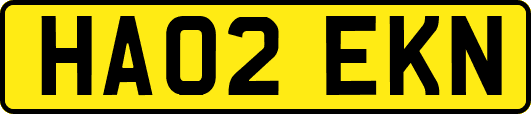 HA02EKN