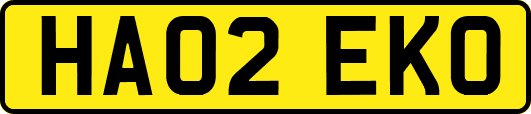 HA02EKO