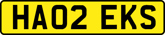 HA02EKS