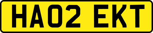 HA02EKT