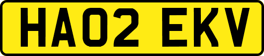 HA02EKV