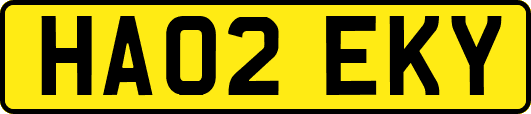 HA02EKY