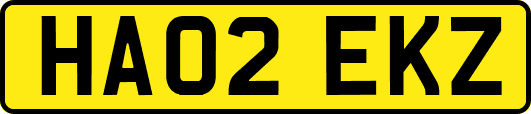 HA02EKZ