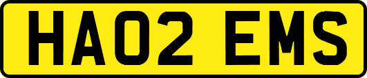 HA02EMS