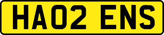 HA02ENS