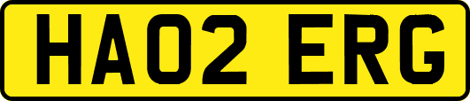 HA02ERG