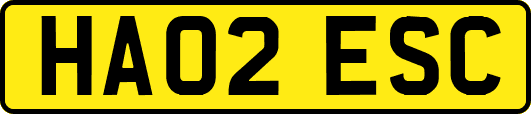 HA02ESC