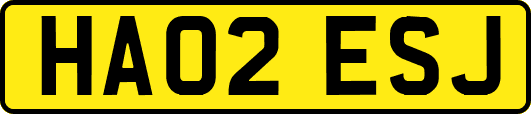 HA02ESJ
