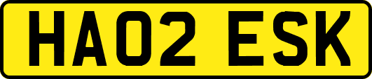 HA02ESK
