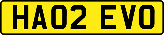 HA02EVO