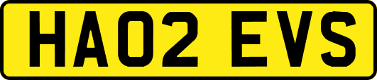 HA02EVS