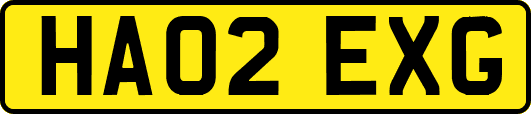 HA02EXG