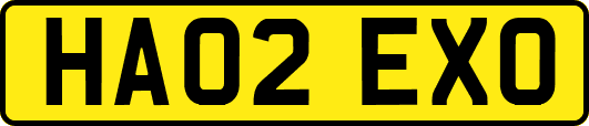 HA02EXO