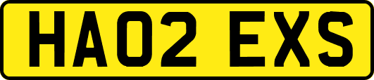 HA02EXS