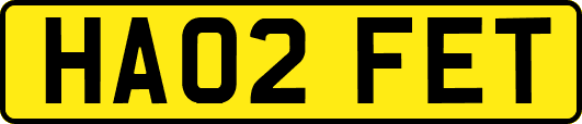 HA02FET