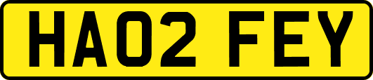 HA02FEY