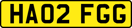 HA02FGG