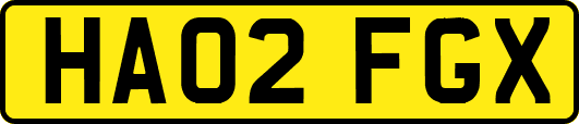 HA02FGX