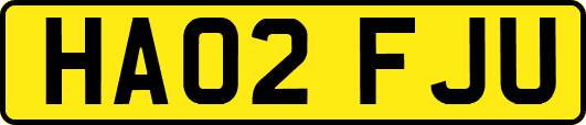 HA02FJU