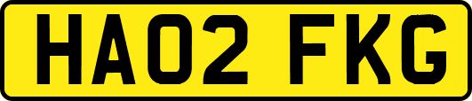 HA02FKG