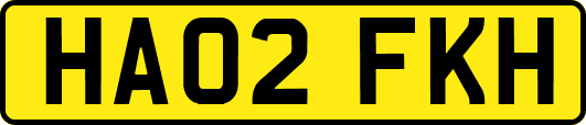 HA02FKH