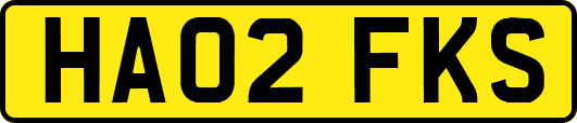 HA02FKS