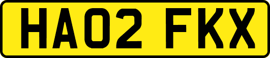 HA02FKX