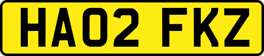 HA02FKZ