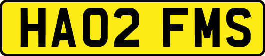 HA02FMS