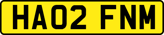 HA02FNM