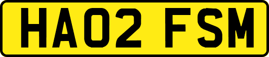 HA02FSM