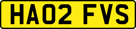HA02FVS