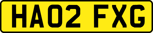 HA02FXG