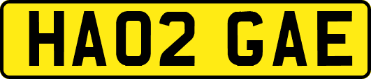 HA02GAE