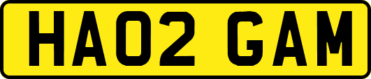 HA02GAM