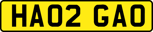 HA02GAO