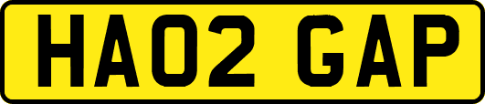 HA02GAP
