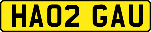 HA02GAU