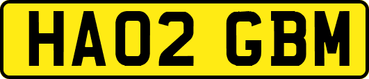 HA02GBM