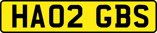 HA02GBS
