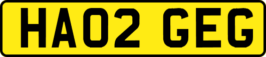 HA02GEG