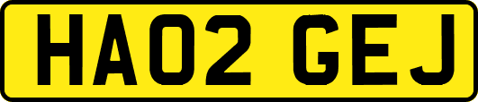 HA02GEJ