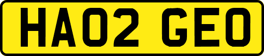 HA02GEO
